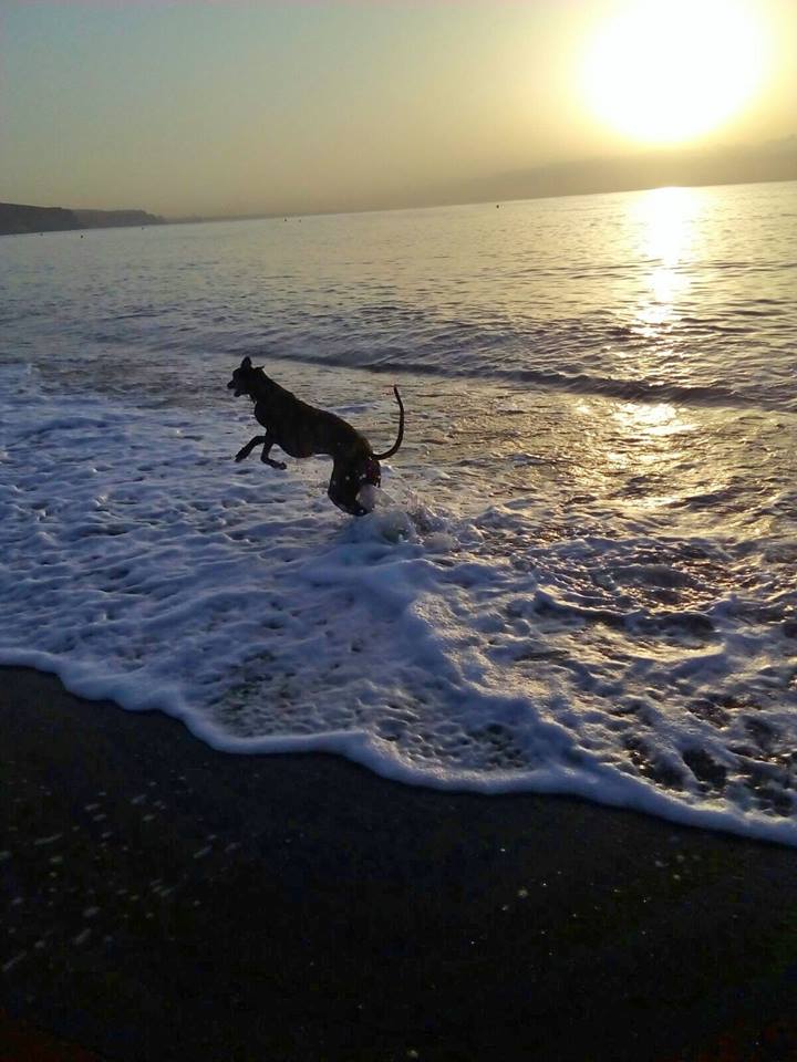 14522995_1151672461576092_5158055699326568050_n