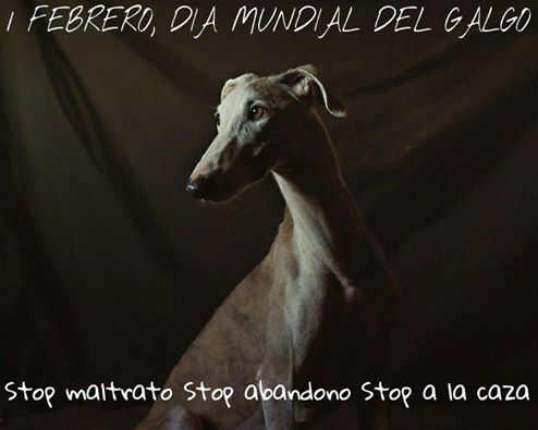 16299209_1276583925751611_1514719095741731901_n